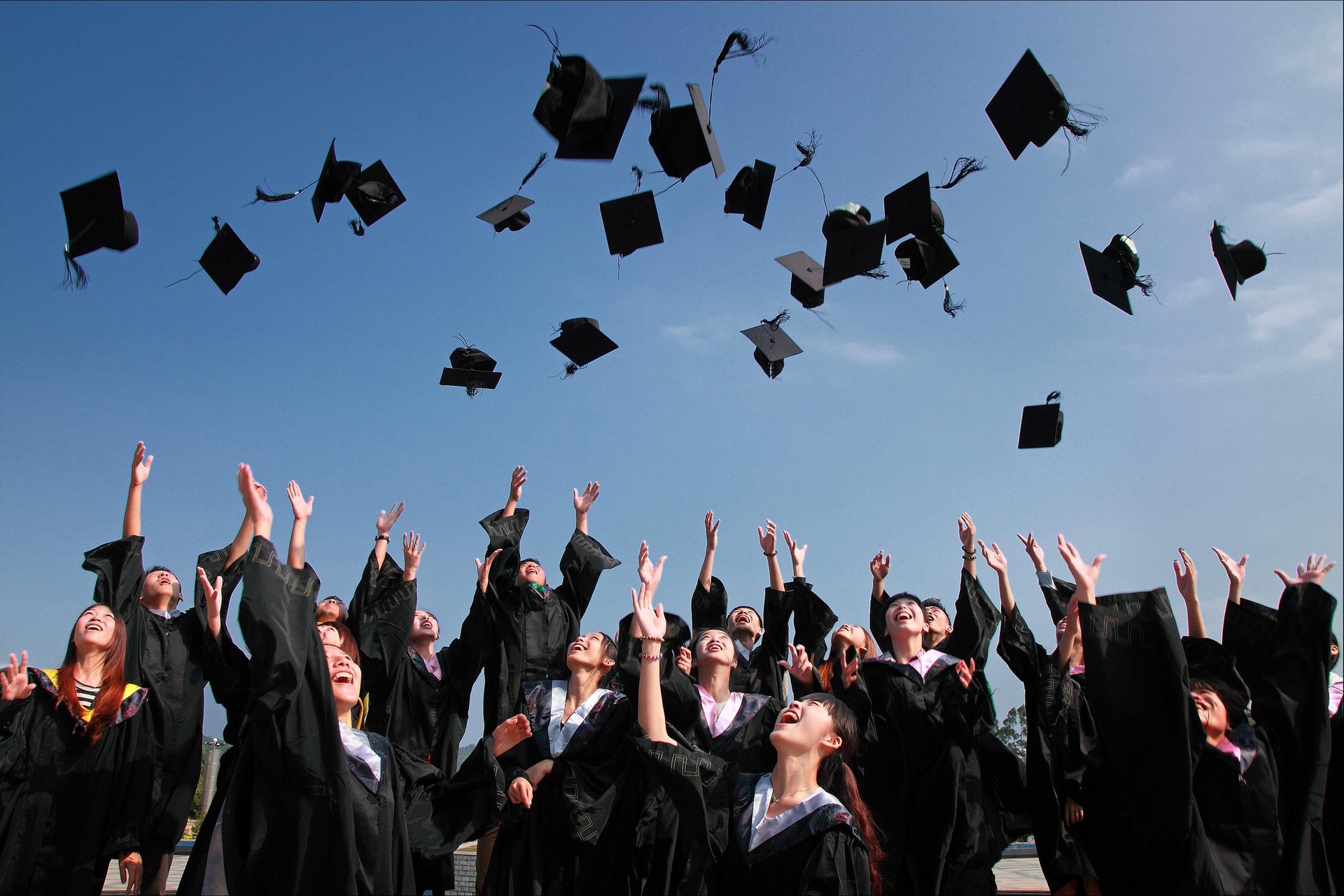 Law assignments essays