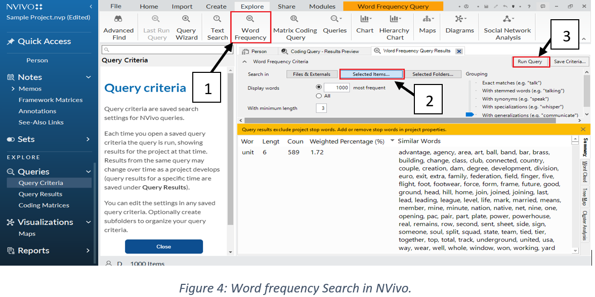 NVivo Qualitative Analysis